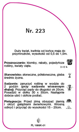 Velkokvětá růže č. 223