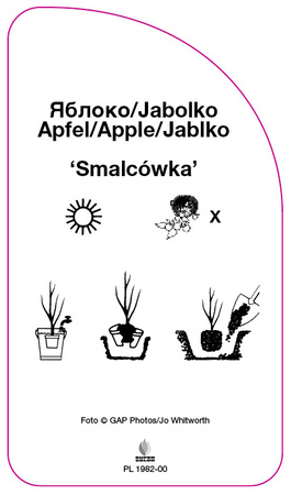 Jablon "Smalcowka