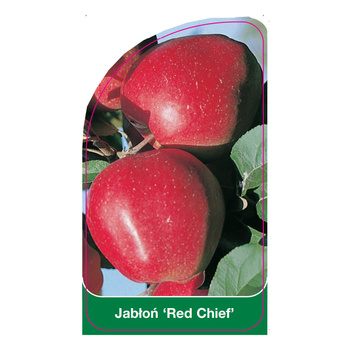Pom de măr "Red Chief