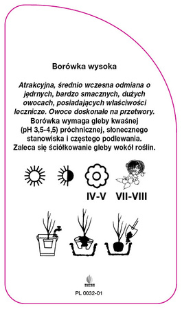 Vaccinium corymbosum 'Bonifacy'