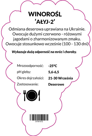 Winorośl Ałyj2