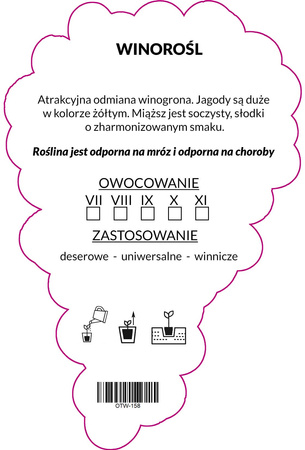 Winorośl Zółta blank