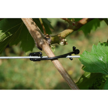 Malinový klip 1000ks Rebstar 1000 REMA