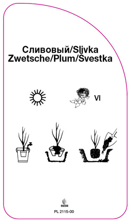 Sliwa "Fortuna