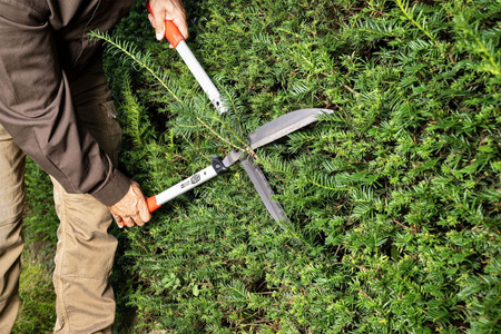 Nůžky na živý plot 63cm FELCO 250-63