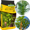 Ziemia do palm juk i dracen 20L Biovita