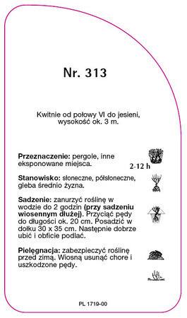 Urcarea trandafirului Nr. 313