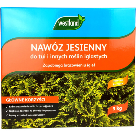 Nawóz jesienny do tui, iglaków 3kg Westland