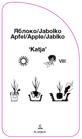 Jabloň 'Katja'