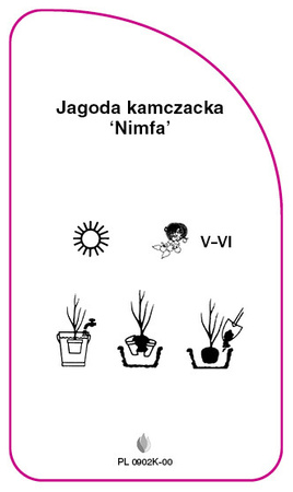 Jagoda kamczacka 'Nimfa'