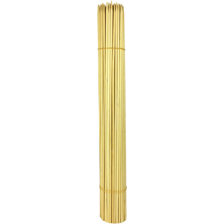 Bambus tratat 80cm