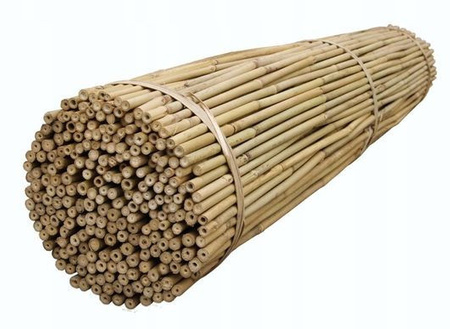 Stâlpi de bambus 210cmT 20/22mm 50pcs