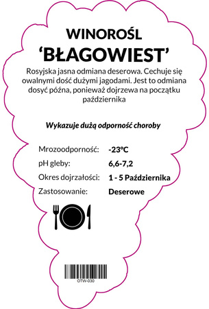 Blagovest révy vinné