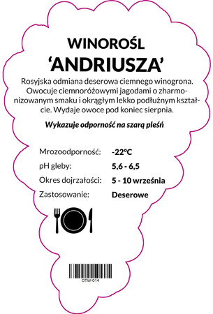 Andrius viță de vie