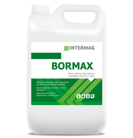 Bormax 5L Intermag