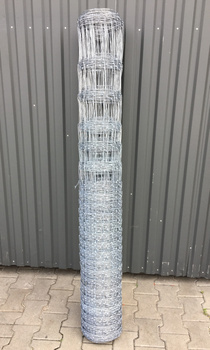 Siatka Leśna 160/23/15/L