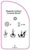 Magnolia loebneri 'Leonard Messel'