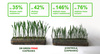 2x Prime 200g + Boric 2kg Dr Green