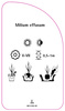 Milium effusum