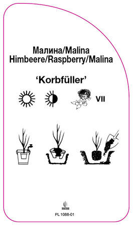 Malina 'Korbfüller'