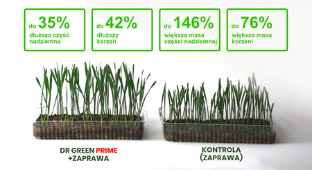 2x Prime 200g + Boric 2kg Dr. Green