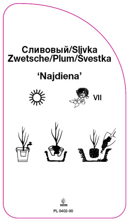 Śliwa 'Nadjdiena'