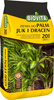 Ziemia do palm juk i dracen 20L Biovita