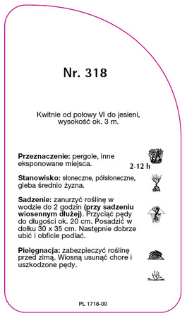 Pnoucí růže č. 318