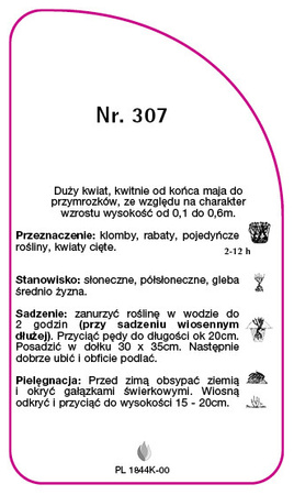 Róza okrywowa Nr. 307