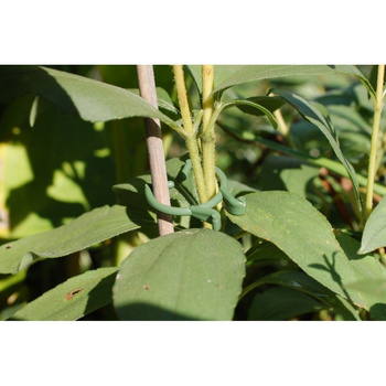 Clemă pentru plante 20mm 1000pcs 1094 B REMA