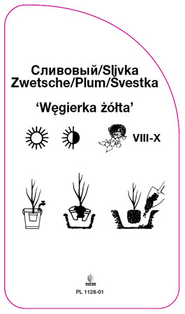 Śliwa 'Węgierka zołta'