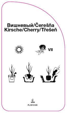 Wiśnia