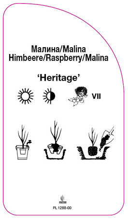 Malina 'Heritage'