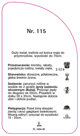 Discount rose Nr. 115