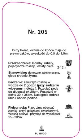 Trandafir cu flori mari Nr. 205