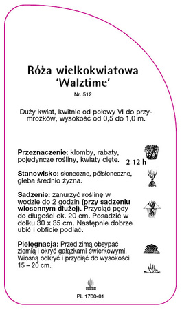 Velkokvětá růže 'Walztime'