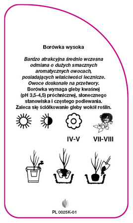 Borówka wysoka