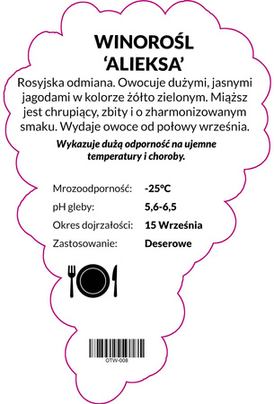 Winorośl Alieksa