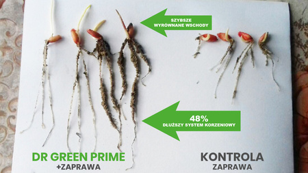 2x Prime 200g + Boric 2kg Dr Green