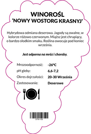 Winorośl Nowy Wostorg Krasnyj