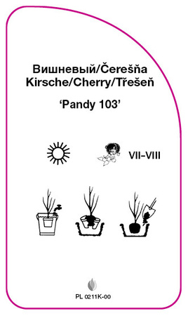 Wisnia 'Pandy 103'