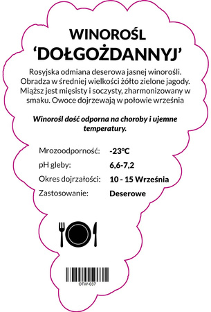 Dolgozdannyj vinná réva