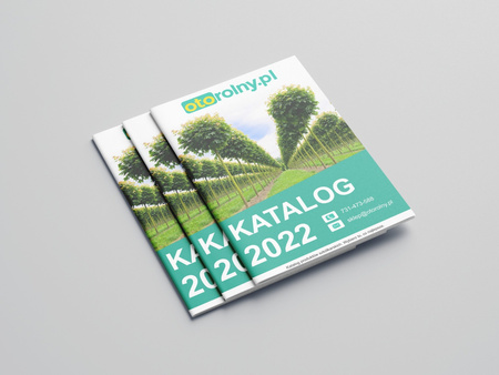 Katalog