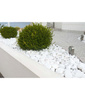 EXTRA WHITE THASSOS 60-100mm 20kg Pietricele Biovita