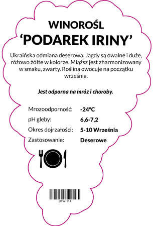 Winorośl Podarek Iriny