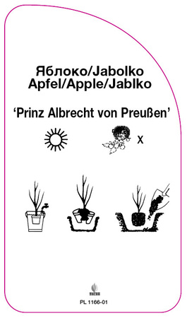 Jabłoń 'Prinz Albrecht von Preußen'