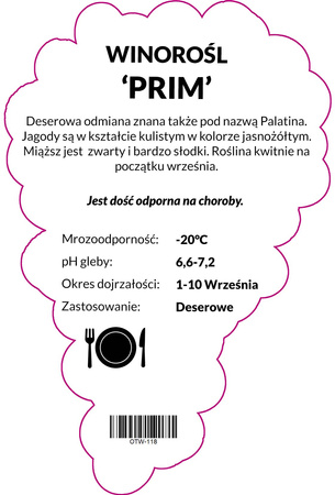 Winorośl Prim