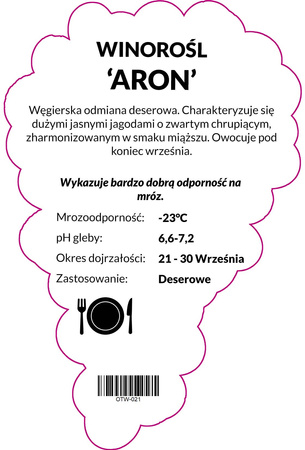 Winorośl Aron