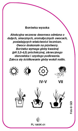 Borowka 'Emil'