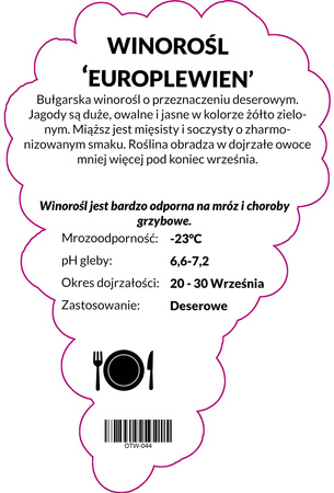 Europlewien vine